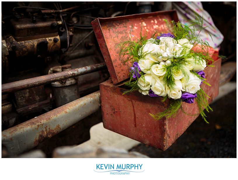 lough gur wedding photography