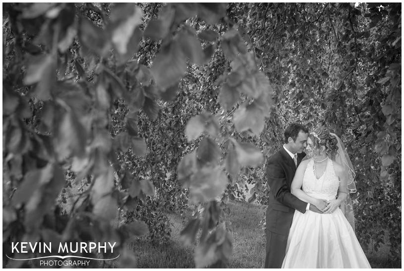 fanningstwon castle adare wedding photography