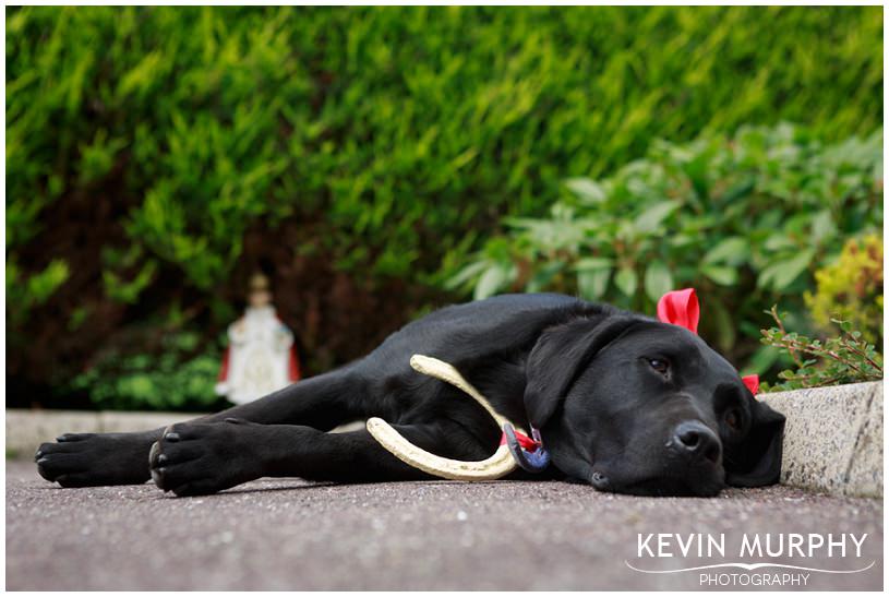 cork wedding photography photo (10)