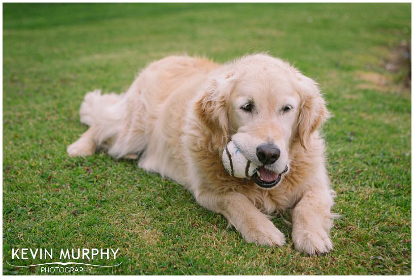 adare wedding photographer photo (4b)